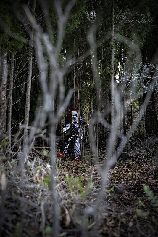 clown in woods 2
